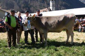 k-4Miss Rind BS Genixboy Goldie Christen Norbert